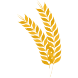 Farina macinata a pietra